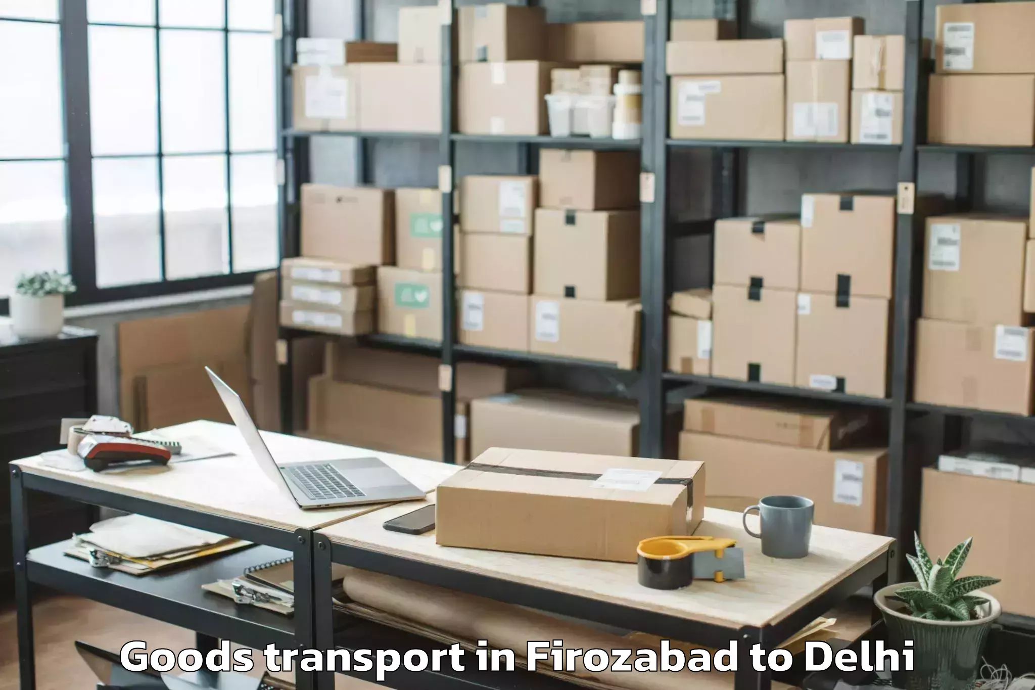 Professional Firozabad to Westend Mall Delhi Goods Transport